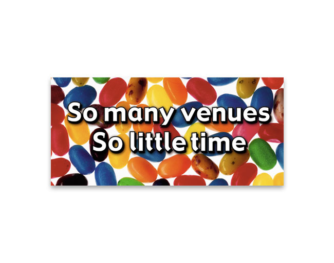 VMES - DL Map fold promotional brochure